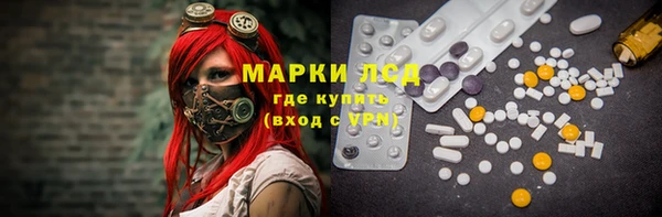 spice Беломорск