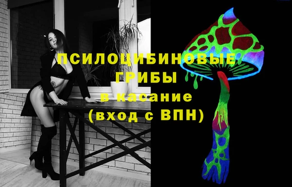 spice Беломорск